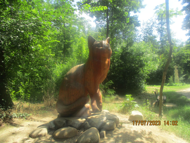 20240720.SOLA-WiWoe.PICT013.jpg
